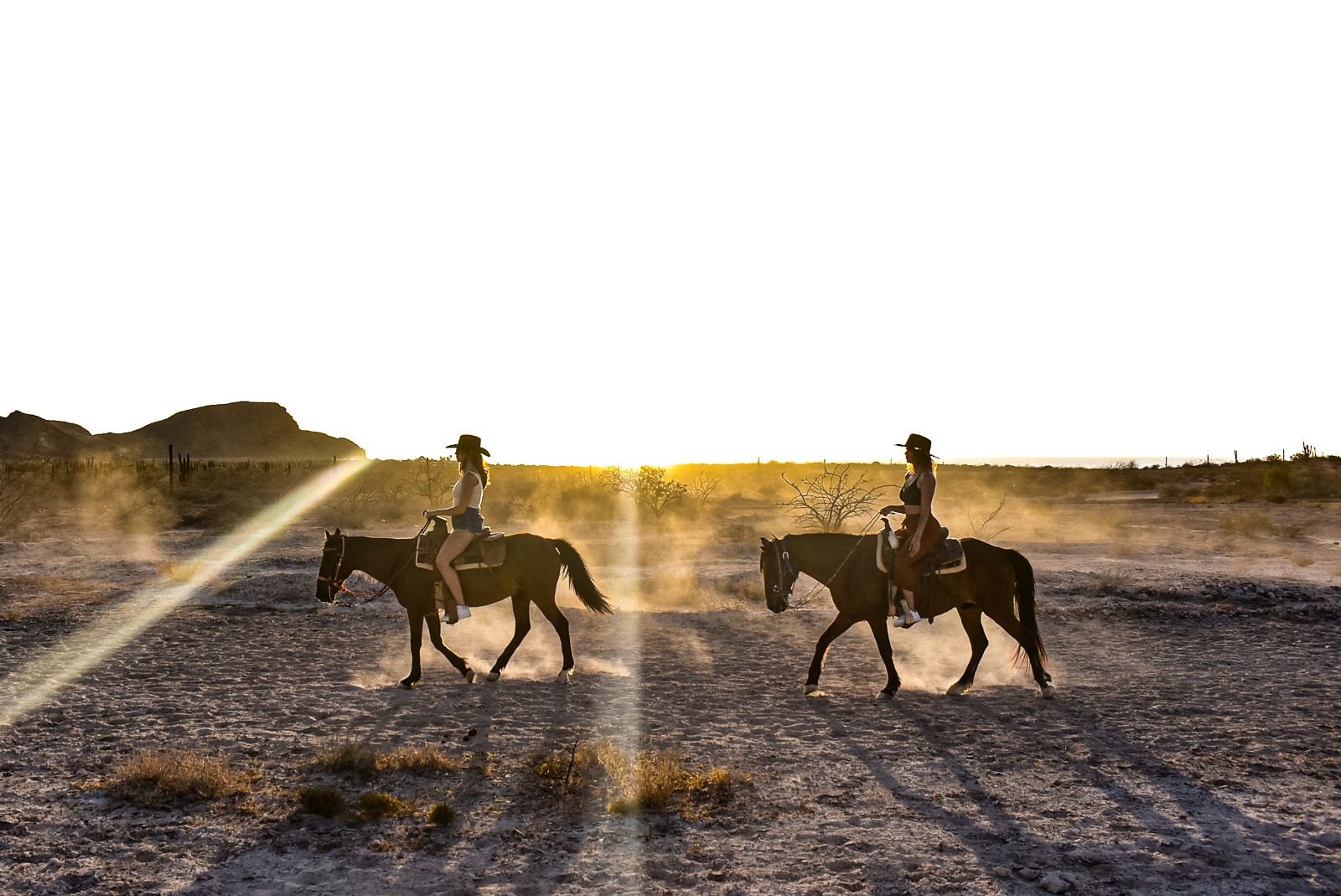 Horseback riding in La Paz at Rancho San Lorenzo