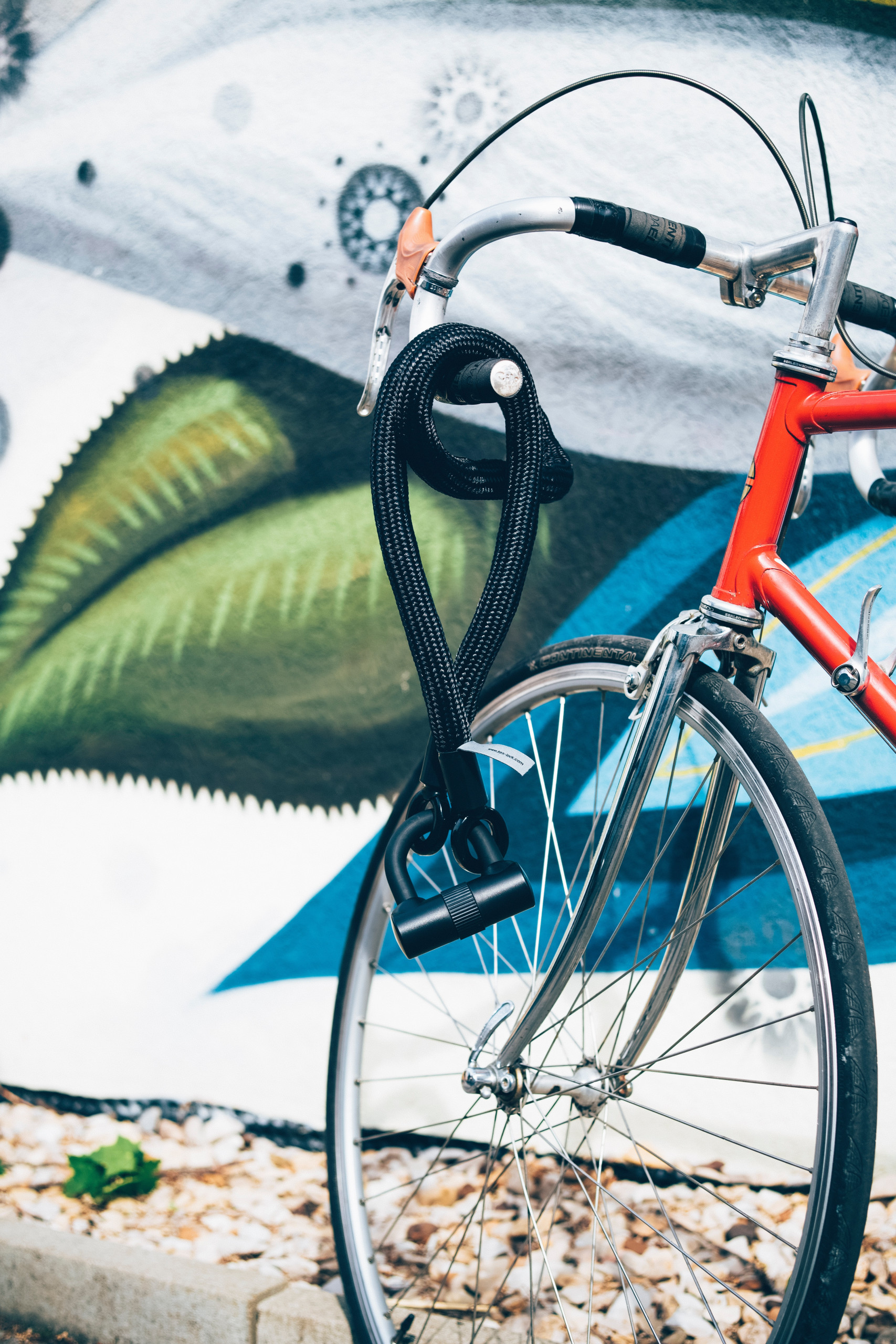La Paz is your next biking destination