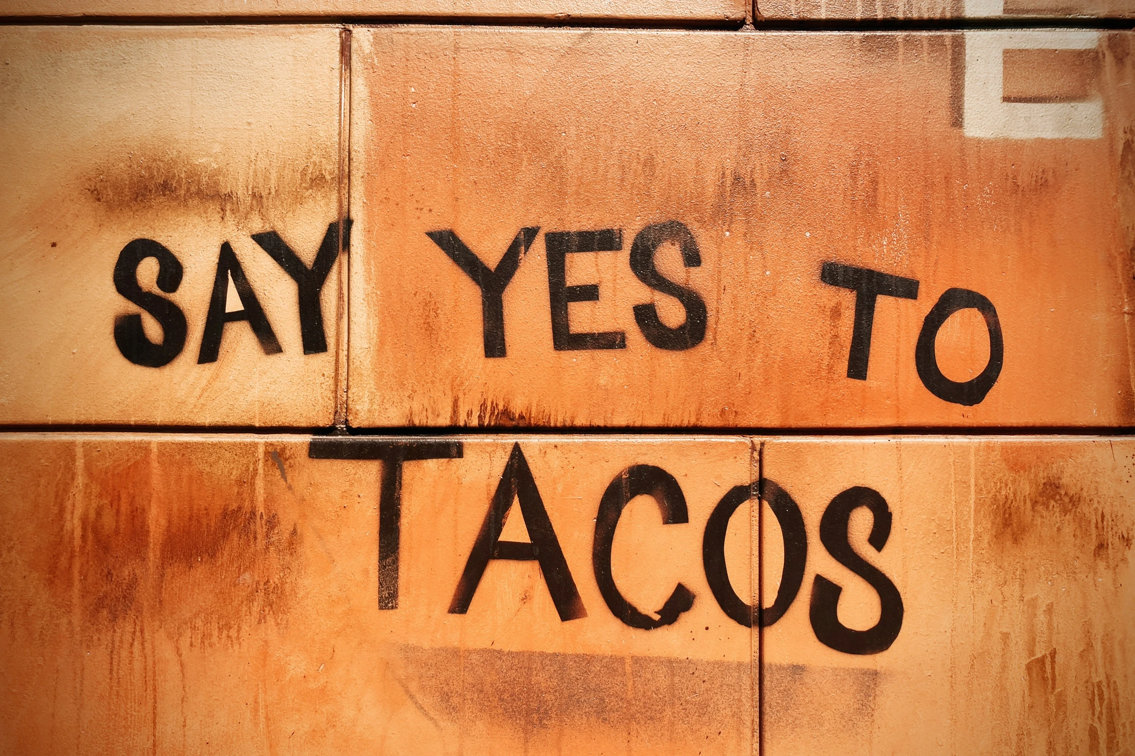 Part Two: Exploring Baja California Sur’s Taco Wonderland