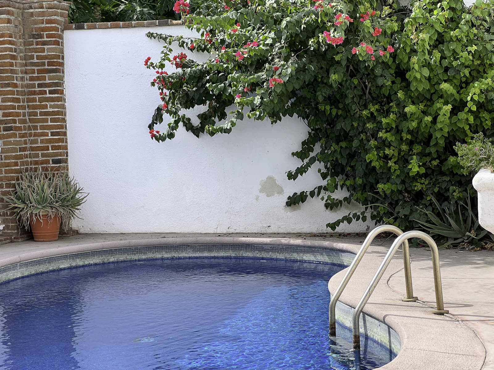 Casa Blanca